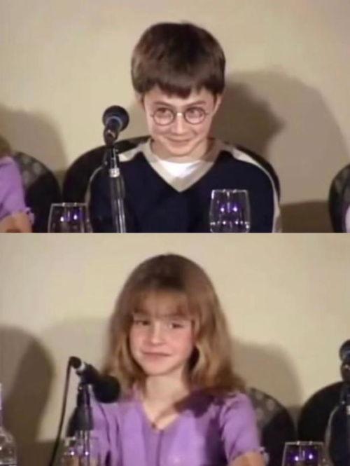 哈利最近爆料视频播放