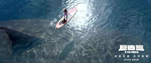 巨齿鲨在线观看,深海巨兽的惊悚回归 第3张 巨齿鲨在线观看,深海巨兽的惊悚回归 第3张