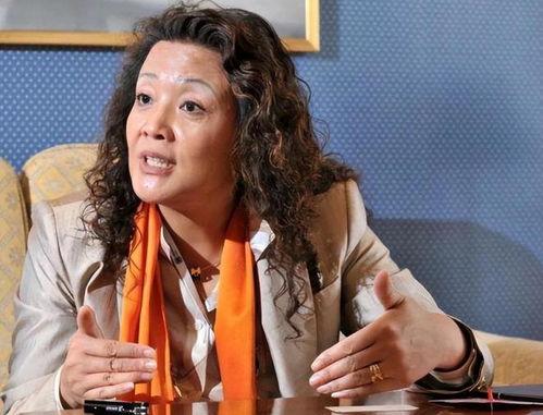 张兰最新消息爆料,揭秘商业帝国背后的惊人真相  第2张