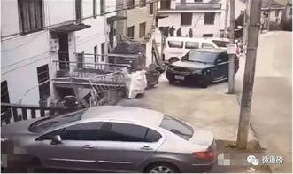 绍兴高速爆料事件最新,揭秘背后真相与争议焦点  第1张