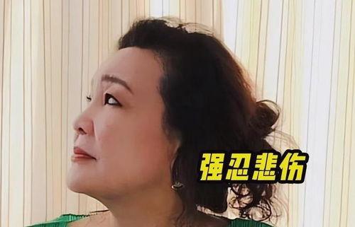 孟贺爆料视频大全下载最新,揭秘幕后真相，最新动态全收录  第1张